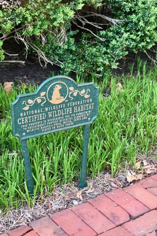 Nature View Two Queen Beds Room