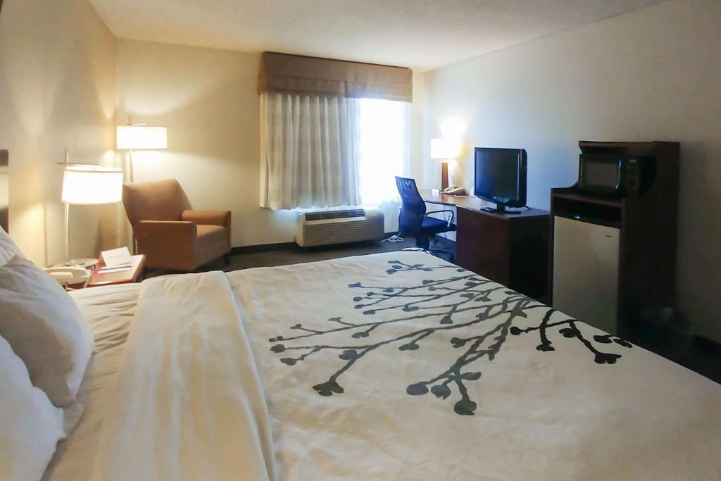 King Room – Non-Smoking