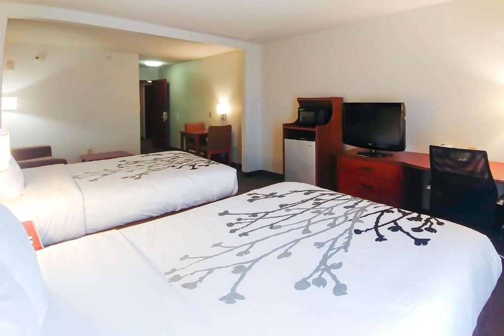 Studio Suite with Two Queen Beds – Non-Smoking