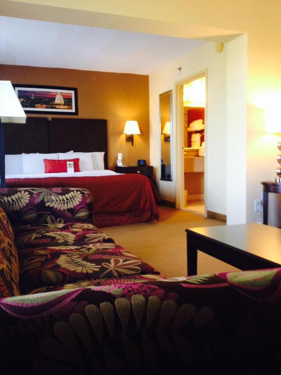 Studio King Suite – Non-Smoking