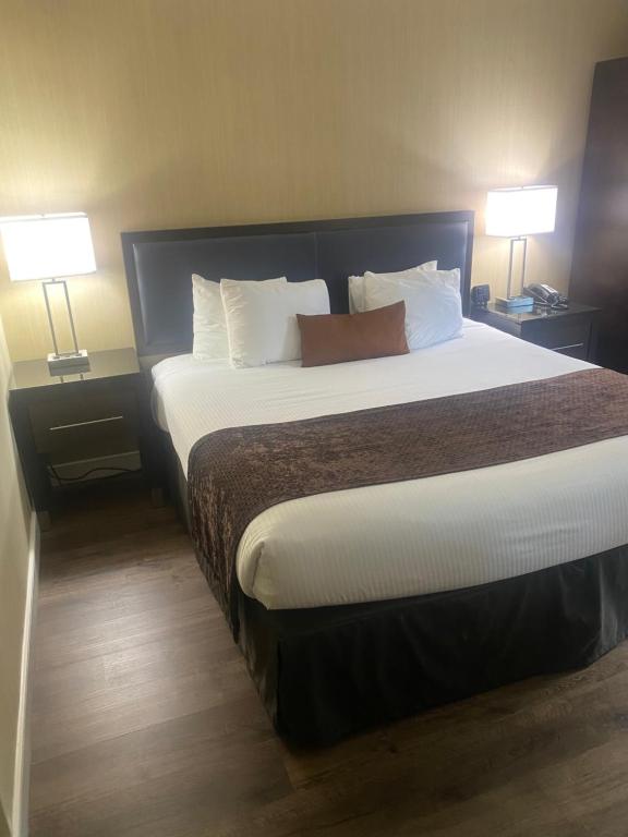 King Room – Disability AccessNon-Smoking