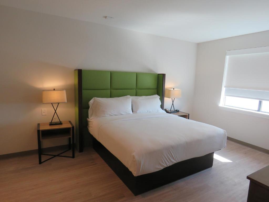 1 King Bed Mobility Accessible Room 1BR Suite Roll in shower Non-Smoking