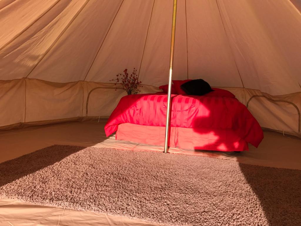 King Tent