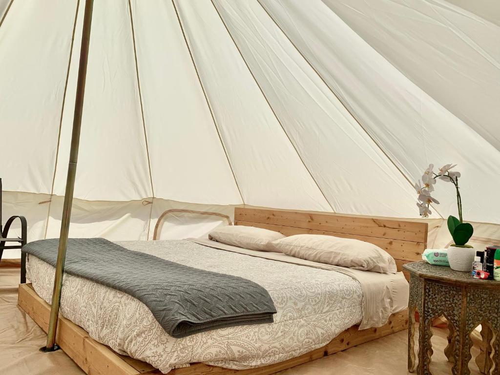 King Tent